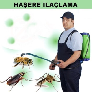 Samsat Böcek İlaçlama